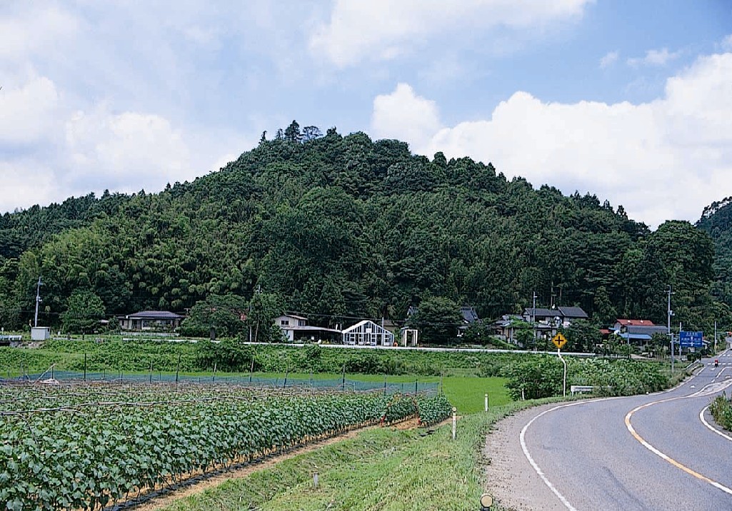 牛ヶ城跡 (大里城跡)